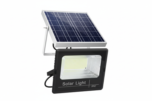 Front White Background