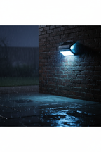 Rainy Night