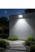 Solar Light - Front Wall Shot