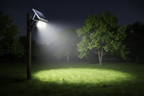 Solar Light - Garden Night Scene